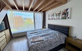 Miky Apartman Klinovec Garden